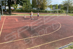hexa_kosz_ziel_pom20