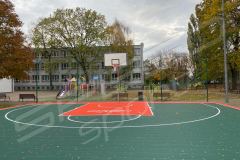 hexa_kosz_ziel_pom9
