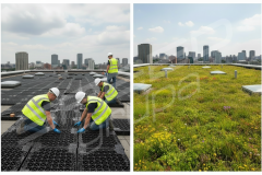 SPEED-drain-60x60x5-zielony-dach_2