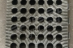 SPEED modules